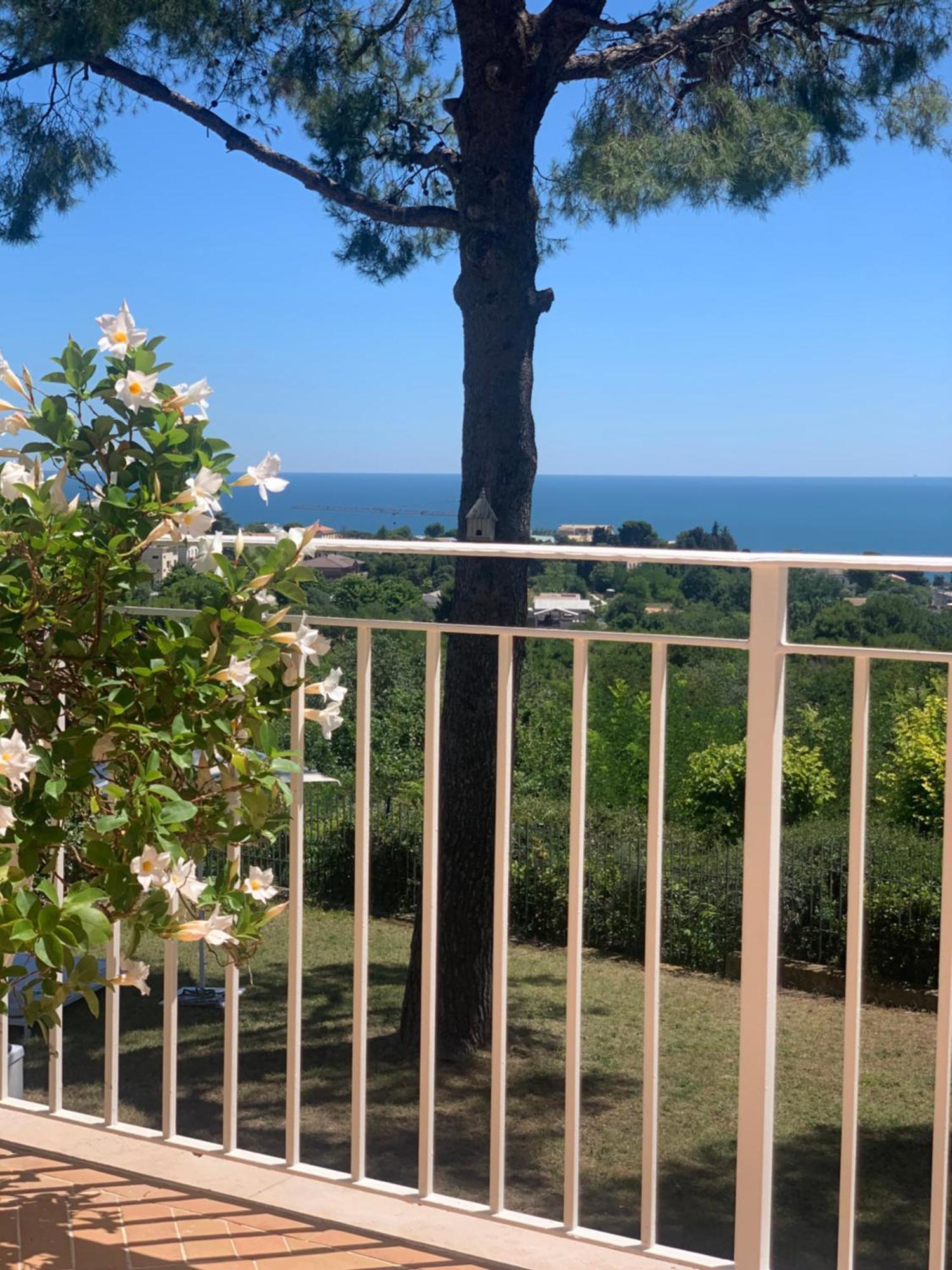 シローロ Tra Gli Alberi E Il Mare Bed & Breakfast エクステリア 写真