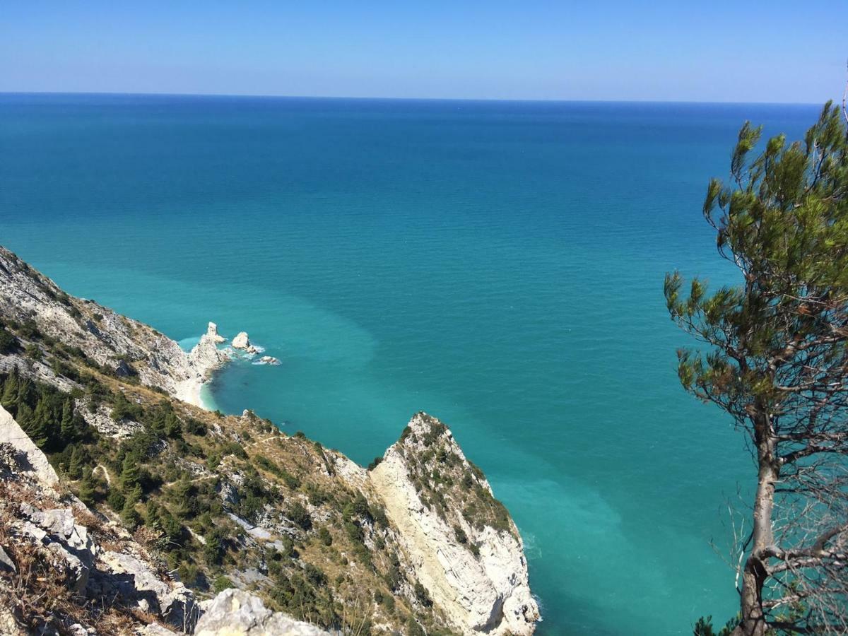 シローロ Tra Gli Alberi E Il Mare Bed & Breakfast エクステリア 写真