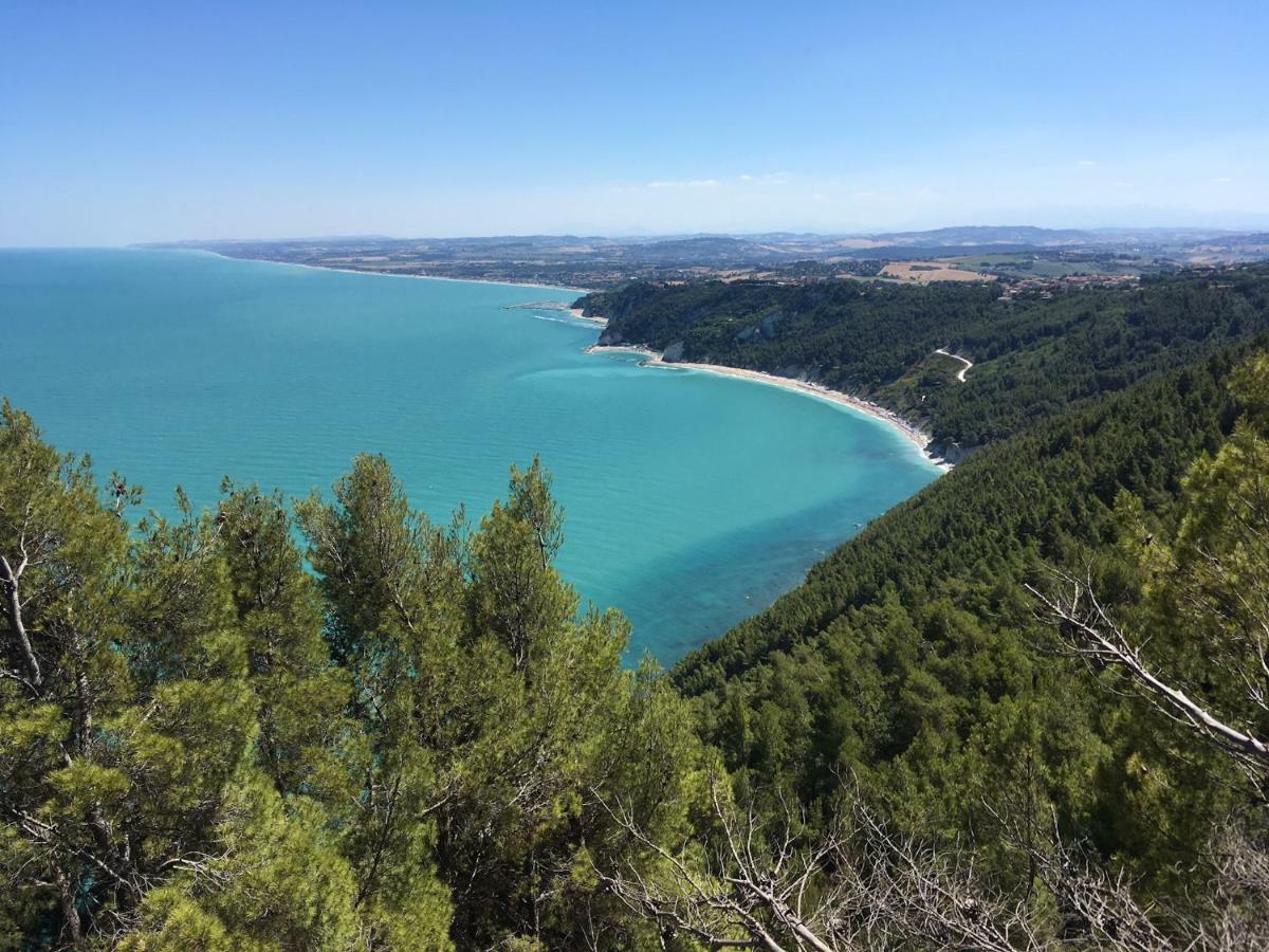 シローロ Tra Gli Alberi E Il Mare Bed & Breakfast エクステリア 写真