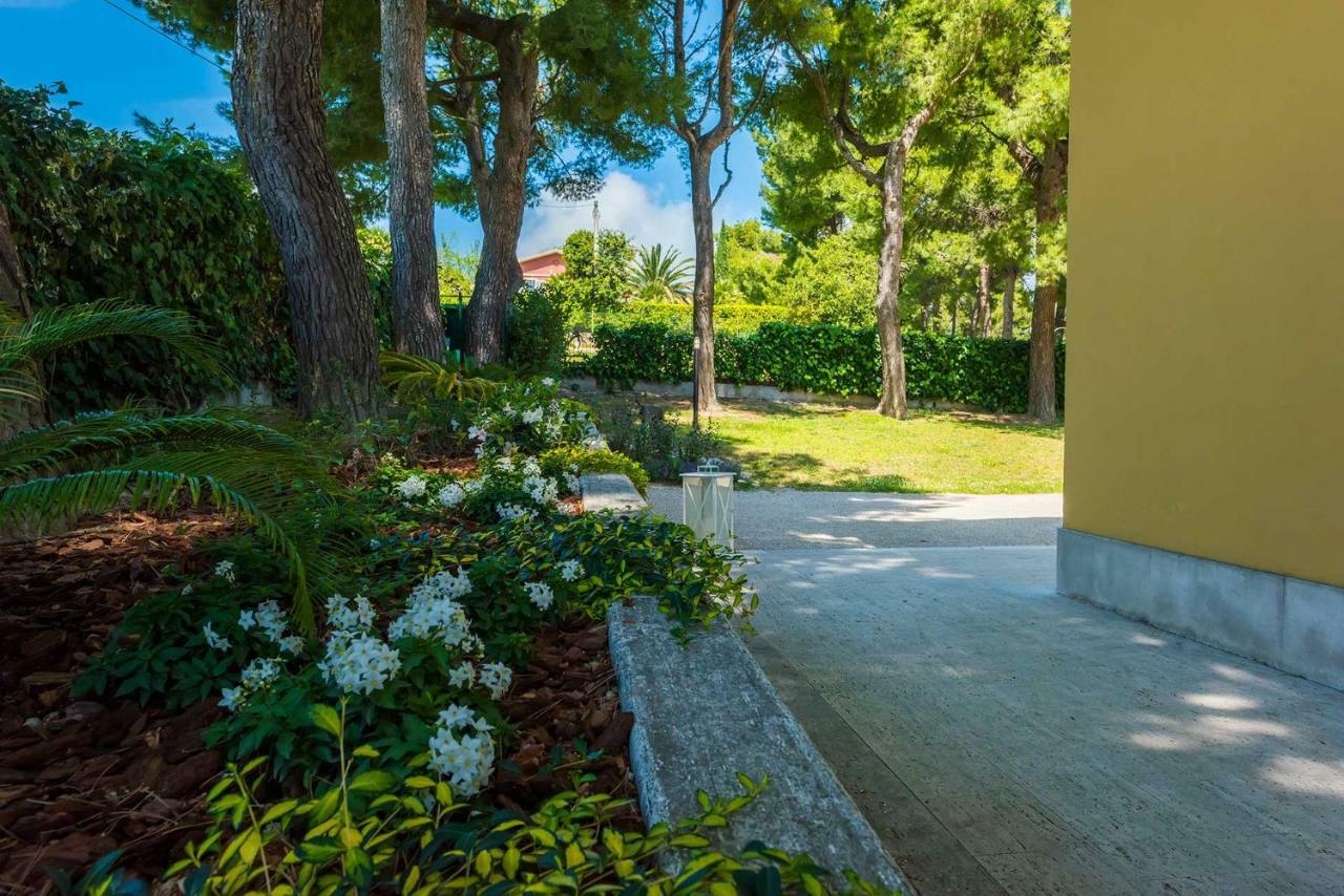 シローロ Tra Gli Alberi E Il Mare Bed & Breakfast エクステリア 写真