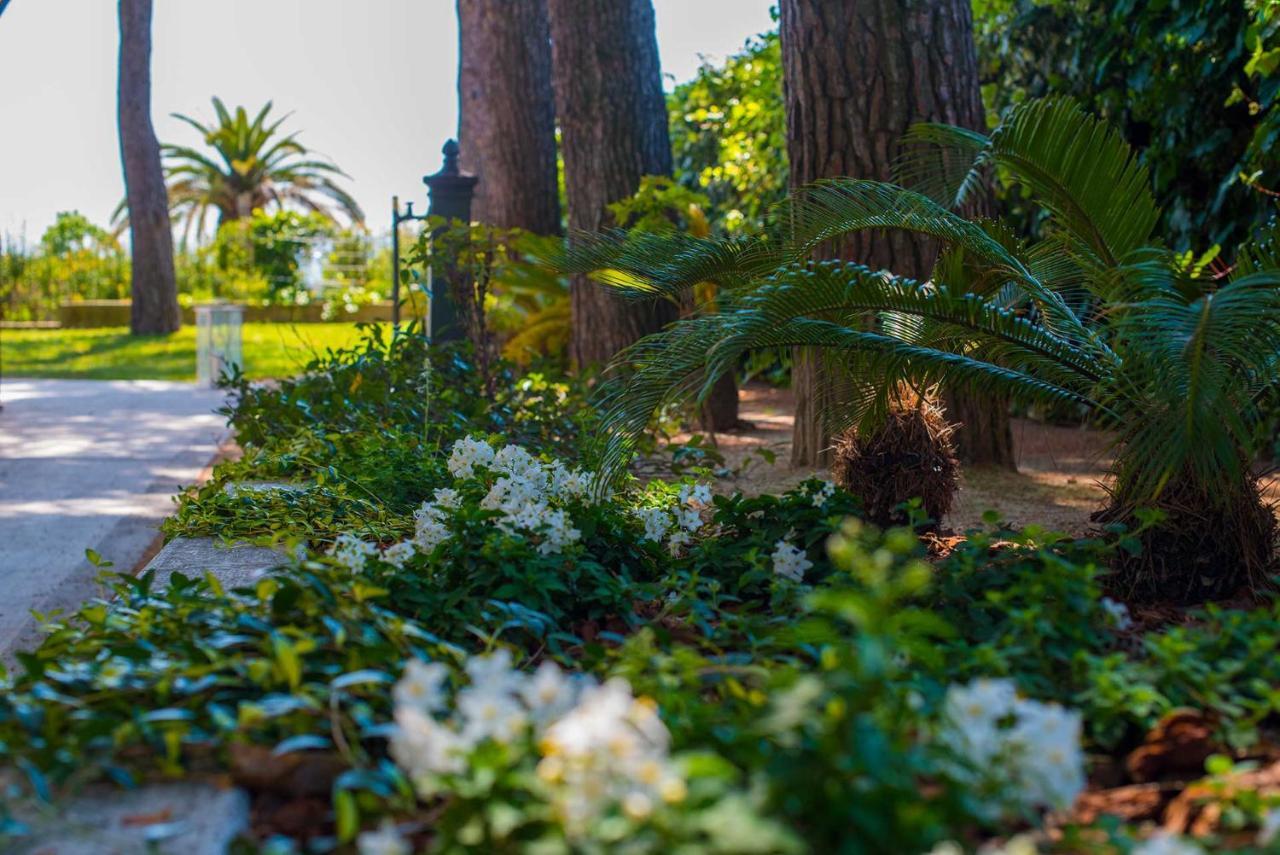 シローロ Tra Gli Alberi E Il Mare Bed & Breakfast エクステリア 写真