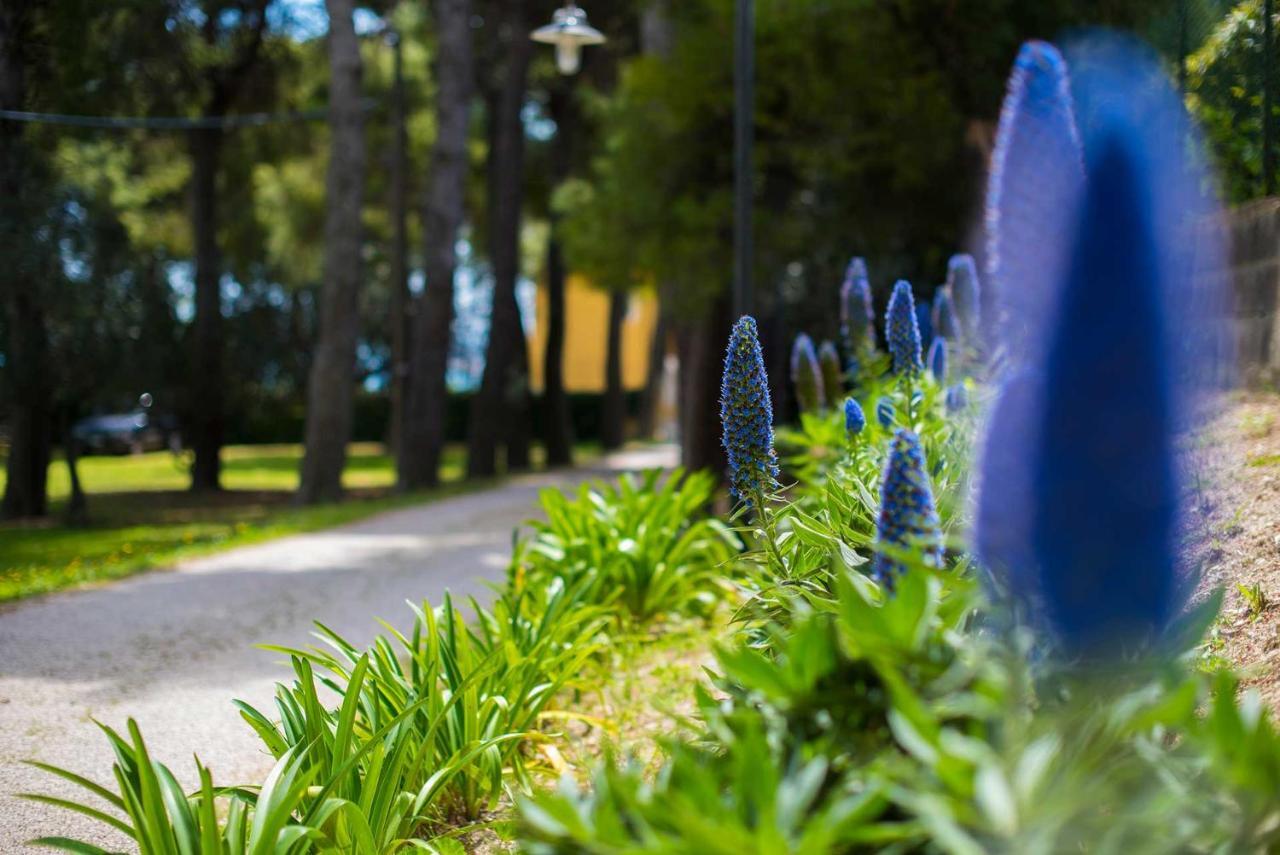 シローロ Tra Gli Alberi E Il Mare Bed & Breakfast エクステリア 写真